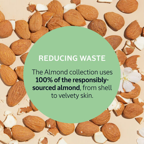 Almond Beauty Trio